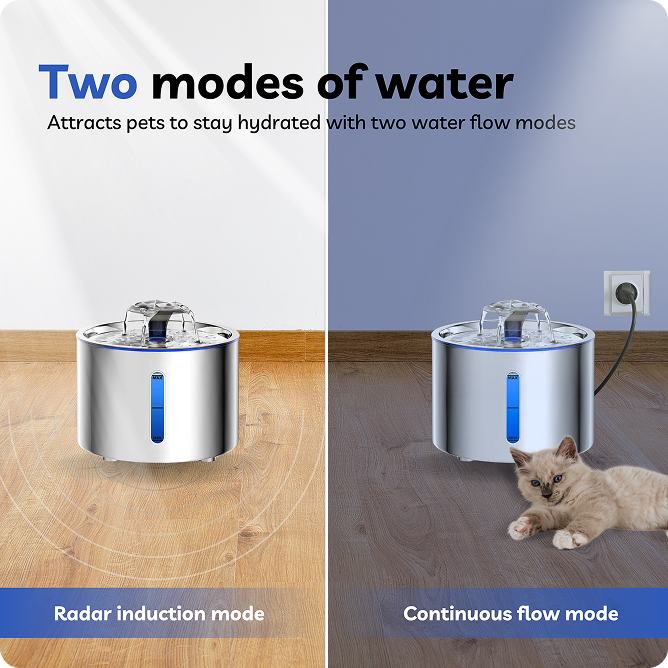 fuente-para-gatos-amazon-content-agencia-4